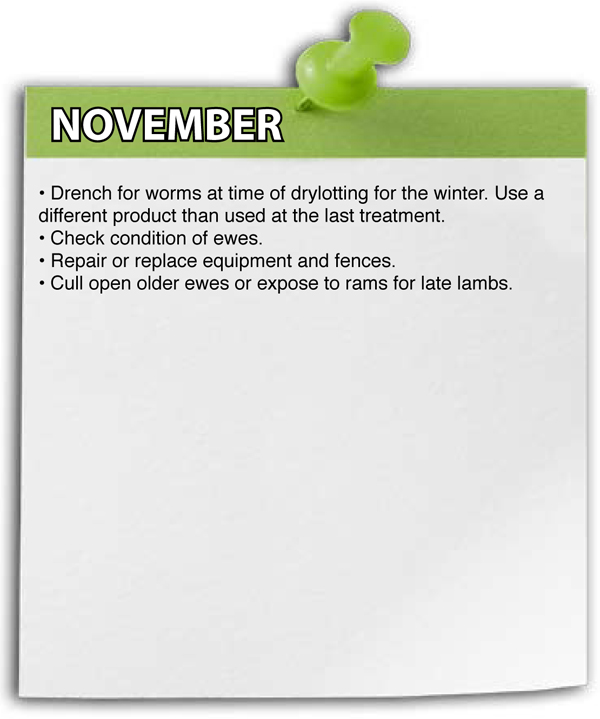 November Shepherd Schedule